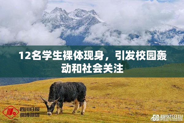 12名学生裸体现身，引发校园轰动和社会关注
