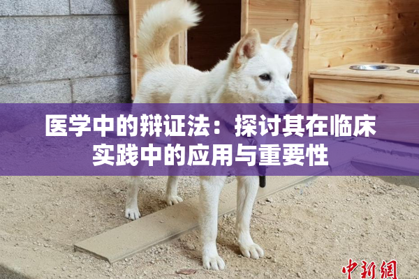 医学中的辩证法：探讨其在临床实践中的应用与重要性