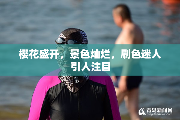樱花盛开，景色灿烂，刷色迷人引人注目