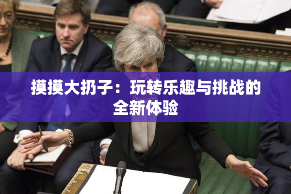 摸摸大扔子：玩转乐趣与挑战的全新体验