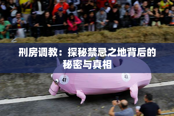 刑房调教：探秘禁忌之地背后的秘密与真相
