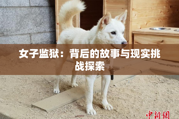 女子监狱：背后的故事与现实挑战探索