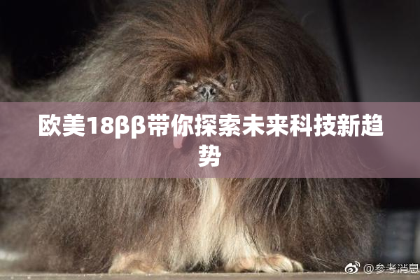 欧美18ββ带你探索未来科技新趋势