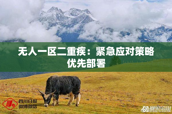无人一区二重疾：紧急应对策略优先部署