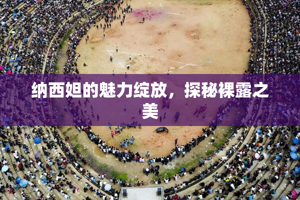 纳西妲的魅力绽放，探秘裸露之美