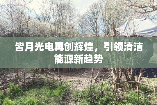 皆月光电再创辉煌，引领清洁能源新趋势