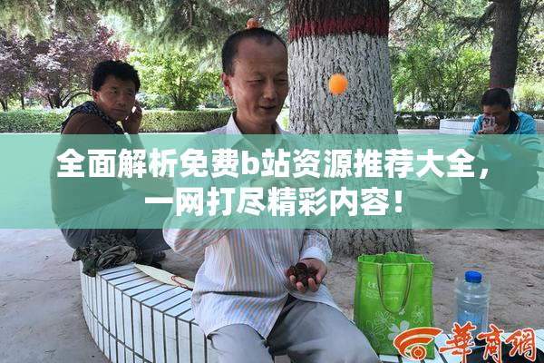 全面解析免费b站资源推荐大全，一网打尽精彩内容！