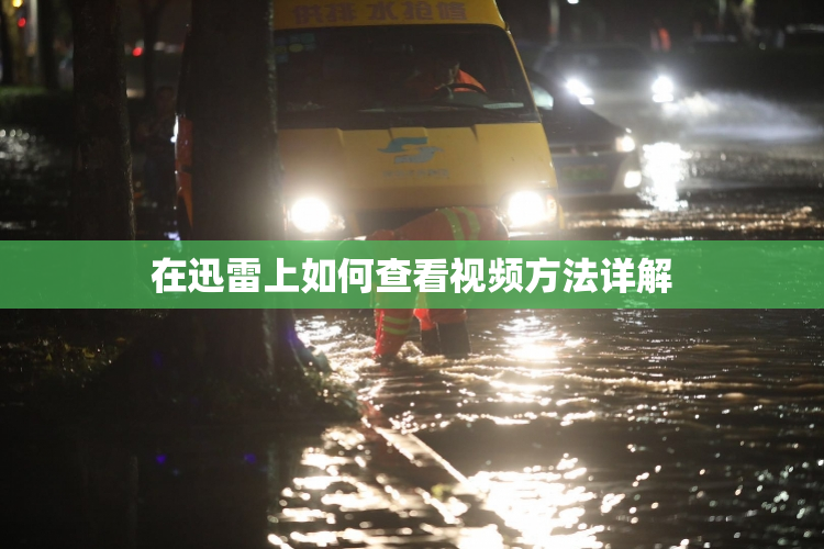 在迅雷上如何查看视频方法详解