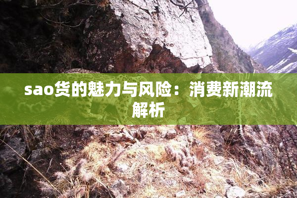 sao货的魅力与风险：消费新潮流解析