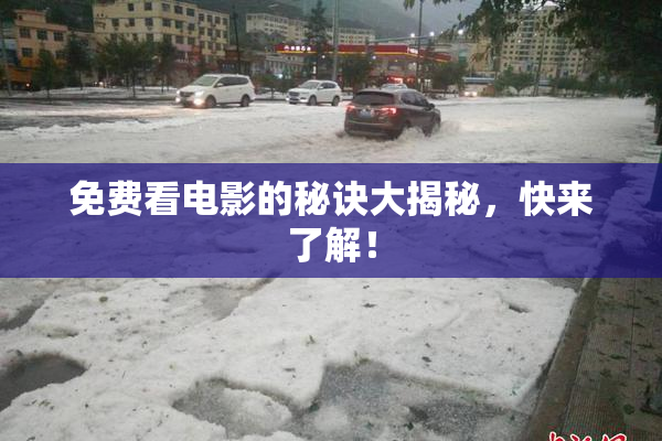 免费看电影的秘诀大揭秘，快来了解！