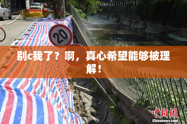 别c我了？啊，真心希望能够被理解！