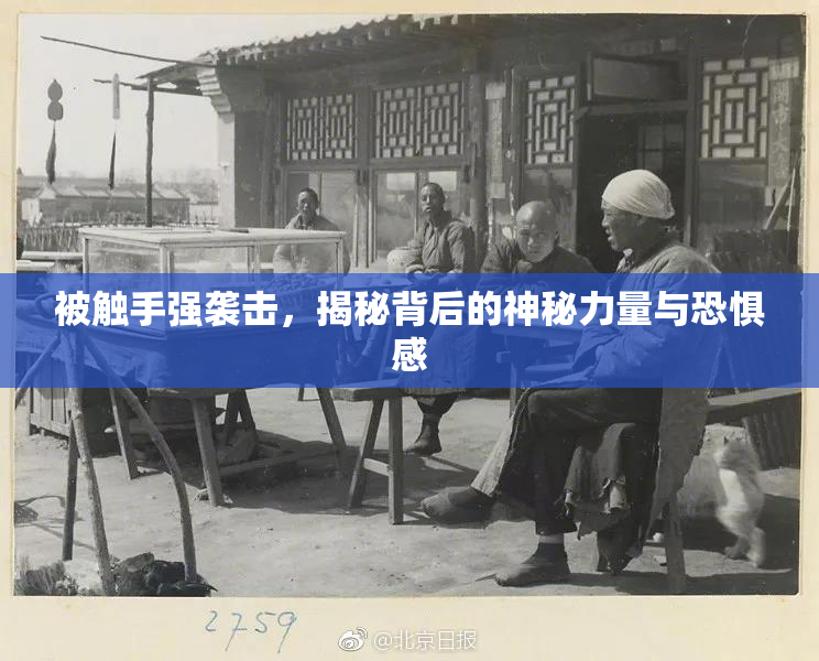 被触手强袭击，揭秘背后的神秘力量与恐惧感