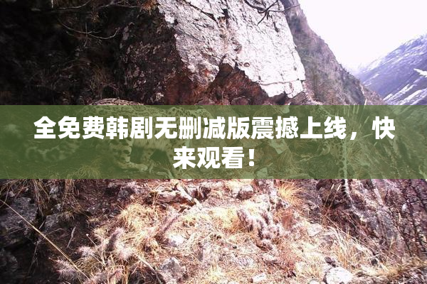 全免费韩剧无删减版震撼上线，快来观看！