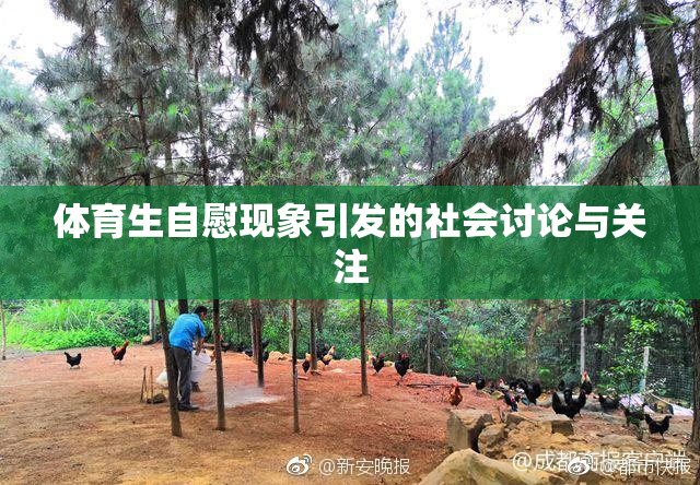 体育生自慰现象引发的社会讨论与关注
