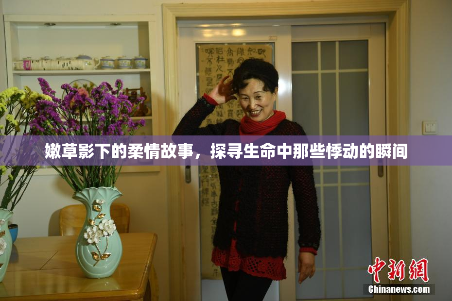 嫩草影下的柔情故事，探寻生命中那些悸动的瞬间