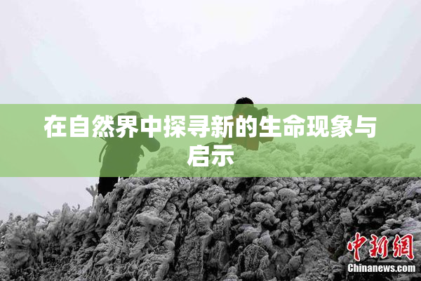 在自然界中探寻新的生命现象与启示
