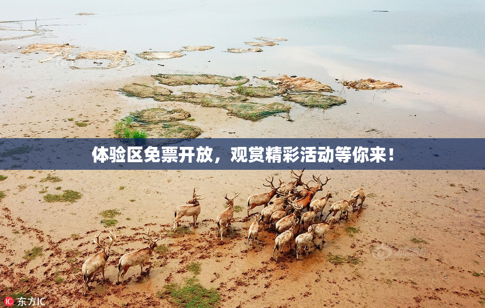 体验区免票开放，观赏精彩活动等你来！