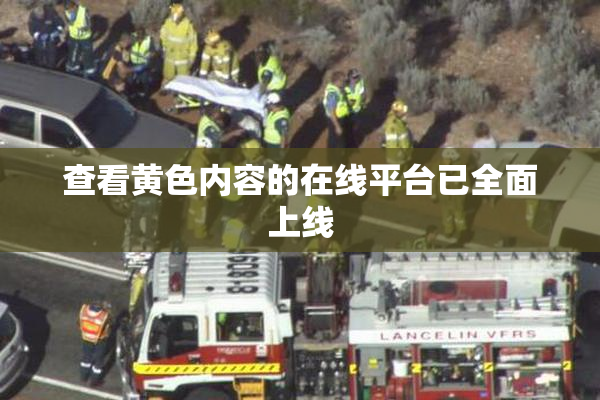 查看黄色内容的在线平台已全面上线
