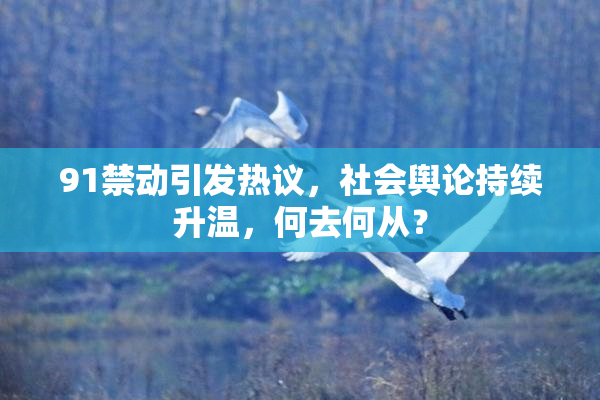 91禁动引发热议，社会舆论持续升温，何去何从？