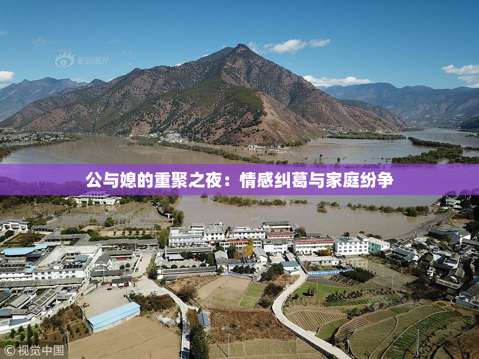 公与媳的重聚之夜：情感纠葛与家庭纷争