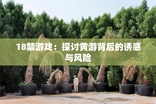 18禁游戏：探讨黄游背后的诱惑与风险