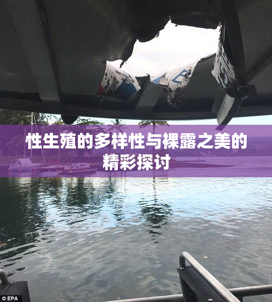 性生殖的多样性与裸露之美的精彩探讨
