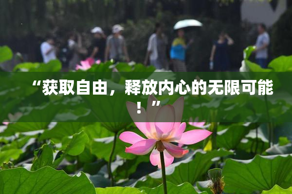 “获取自由，释放内心的无限可能！”