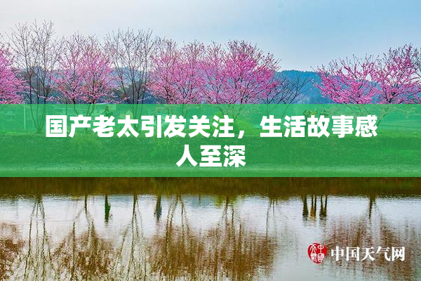 国产老太引发关注，生活故事感人至深