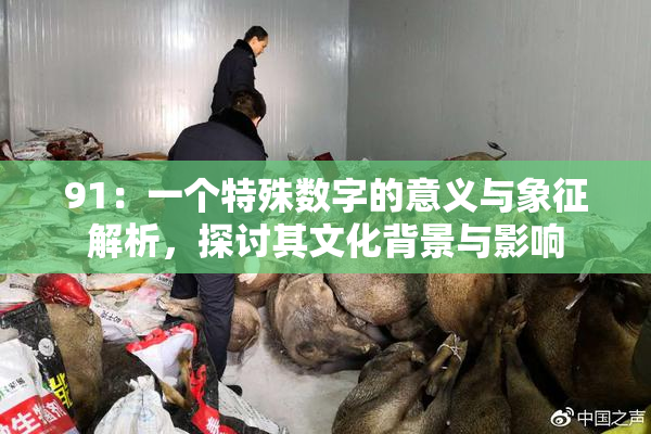 91：一个特殊数字的意义与象征解析，探讨其文化背景与影响