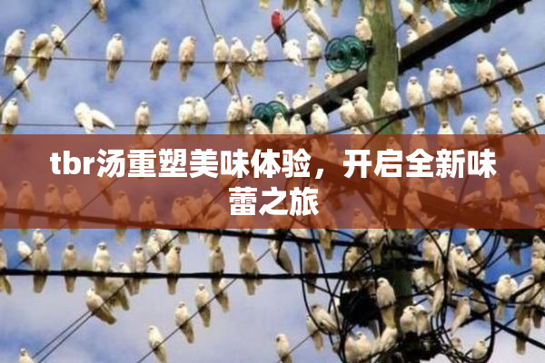 tbr汤重塑美味体验，开启全新味蕾之旅