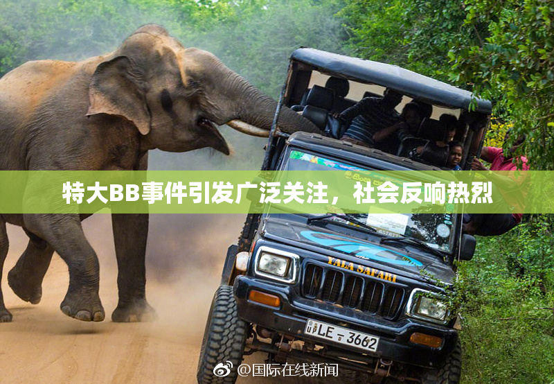 特大BB事件引发广泛关注，社会反响热烈