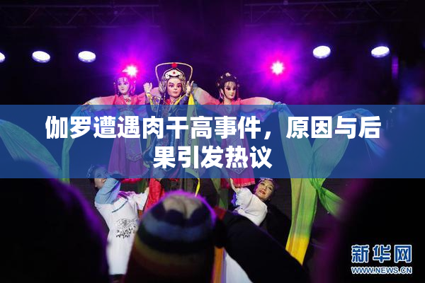 伽罗遭遇肉干高事件，原因与后果引发热议
