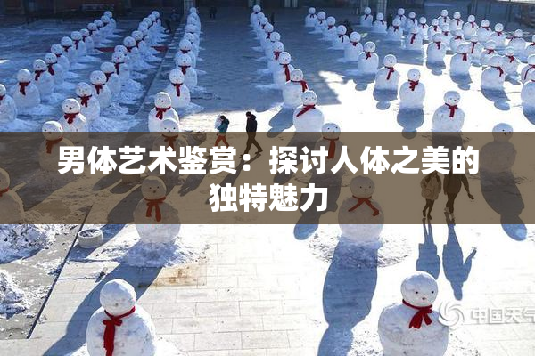 男体艺术鉴赏：探讨人体之美的独特魅力