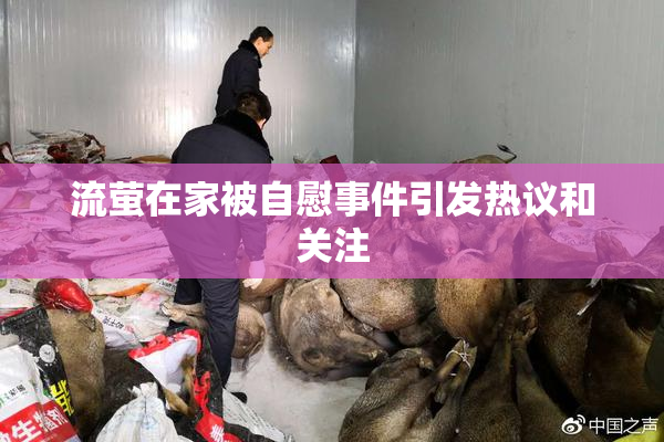 流萤在家被自慰事件引发热议和关注