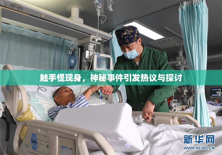 触手怪现身，神秘事件引发热议与探讨