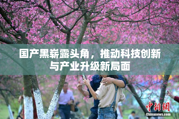国产黑崭露头角，推动科技创新与产业升级新局面