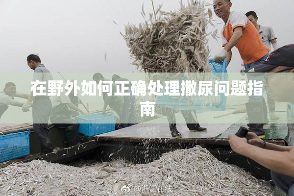 在野外如何正确处理撒尿问题指南