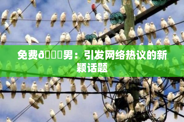 免费🔞男：引发网络热议的新颖话题