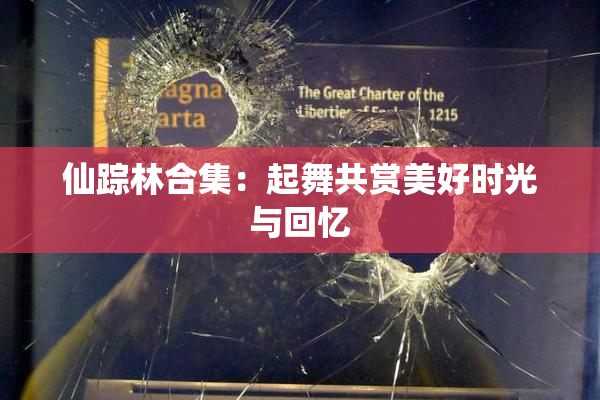 仙踪林合集：起舞共赏美好时光与回忆