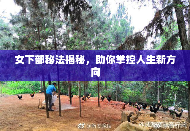 女下部秘法揭秘，助你掌控人生新方向