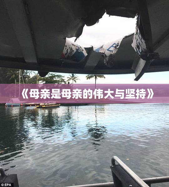 《母亲是母亲的伟大与坚持》