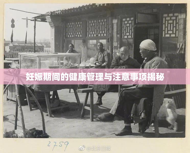 妊娠期间的健康管理与注意事项揭秘