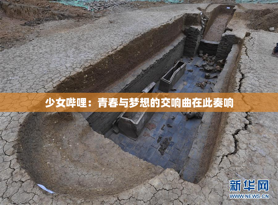 少女哔哩：青春与梦想的交响曲在此奏响