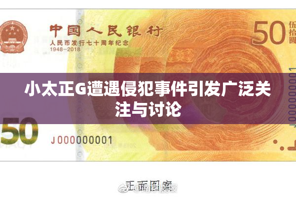 小太正G遭遇侵犯事件引发广泛关注与讨论