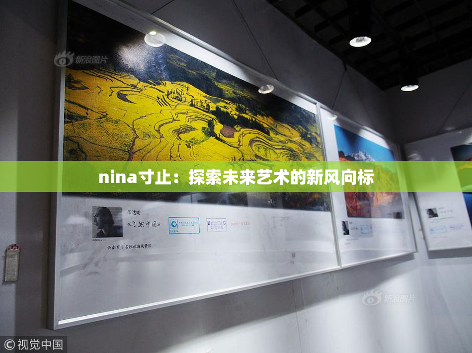 nina寸止：探索未来艺术的新风向标