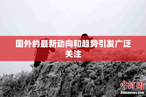 国外的最新动向和趋势引发广泛关注