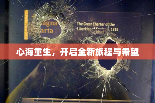 心海重生，开启全新旅程与希望