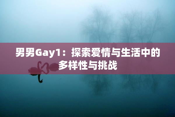 男男Gay1：探索爱情与生活中的多样性与挑战