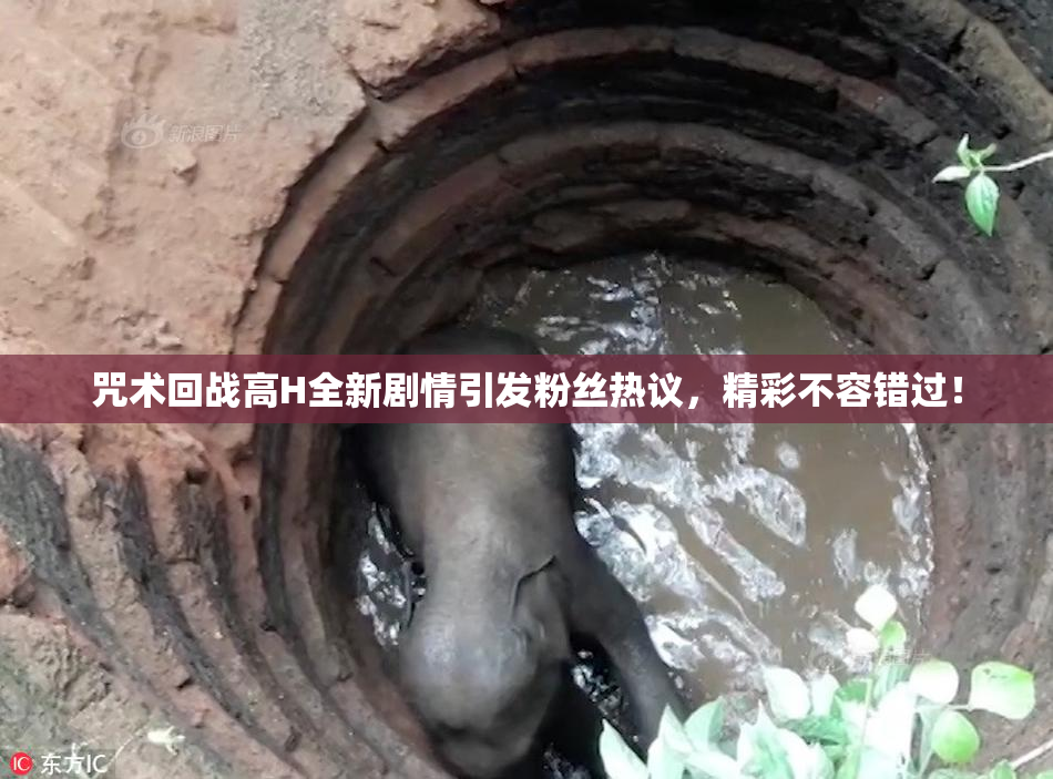 咒术回战高H全新剧情引发粉丝热议，精彩不容错过！