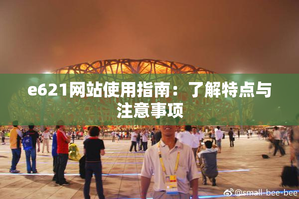 e621网站使用指南：了解特点与注意事项